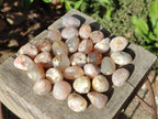 Polished Small Flower Agate Free Forms x 70 From Antsahalova, Madagascar - Toprock Gemstones and Minerals 