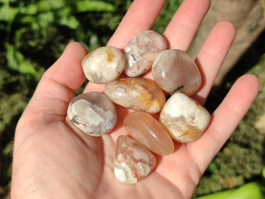 Polished Small Flower Agate Free Forms x 70 From Antsahalova, Madagascar - Toprock Gemstones and Minerals 