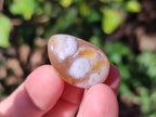 Polished Small Flower Agate Free Forms x 70 From Antsahalova, Madagascar - Toprock Gemstones and Minerals 