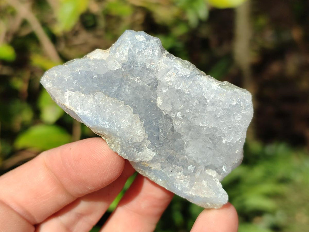 Natural Blue Lace Agate Geode Specimens x 35 From Nsanje, Malawi - Toprock Gemstones and Minerals 