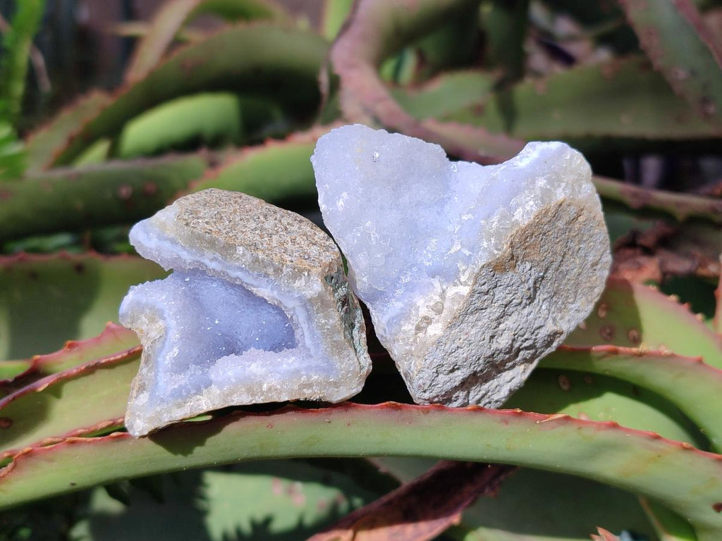 Natural Blue Lace Agate Geode Specimens x 35 From Nsanje, Malawi - Toprock Gemstones and Minerals 