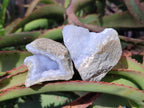 Natural Blue Lace Agate Geode Specimens x 35 From Nsanje, Malawi - Toprock Gemstones and Minerals 