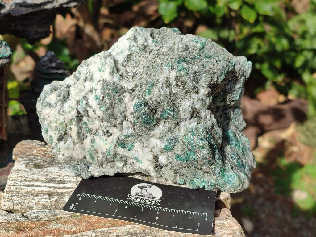 Natural Emerald Mica 'Mutokolite' Cobbed Specimens x 2 From Mutoko, Zimbabwe - Toprock Gemstones and Minerals 