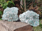 Natural Emerald Mica 'Mutokolite' Cobbed Specimens x 2 From Mutoko, Zimbabwe - Toprock Gemstones and Minerals 