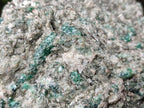Natural Emerald Mica 'Mutokolite' Cobbed Specimens x 2 From Mutoko, Zimbabwe - Toprock Gemstones and Minerals 