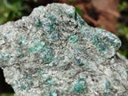 Natural Emerald Mica 'Mutokolite' Cobbed Specimens x 2 From Mutoko, Zimbabwe - Toprock Gemstones and Minerals 