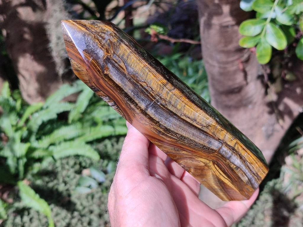Polished Large Golden Tigers Eye Display Crystals x 2 From Prieska, South Africa - Toprock Gemstones and Minerals 