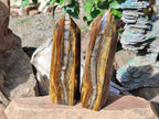Polished Large Golden Tigers Eye Display Crystals x 2 From Prieska, South Africa - Toprock Gemstones and Minerals 
