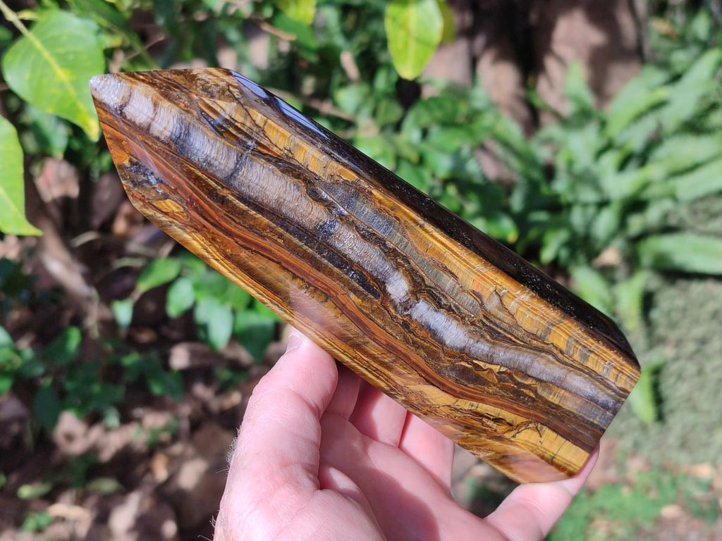 Polished Large Golden Tigers Eye Display Crystals x 2 From Prieska, South Africa - Toprock Gemstones and Minerals 