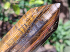 Polished Large Golden Tigers Eye Display Crystals x 2 From Prieska, South Africa - Toprock Gemstones and Minerals 