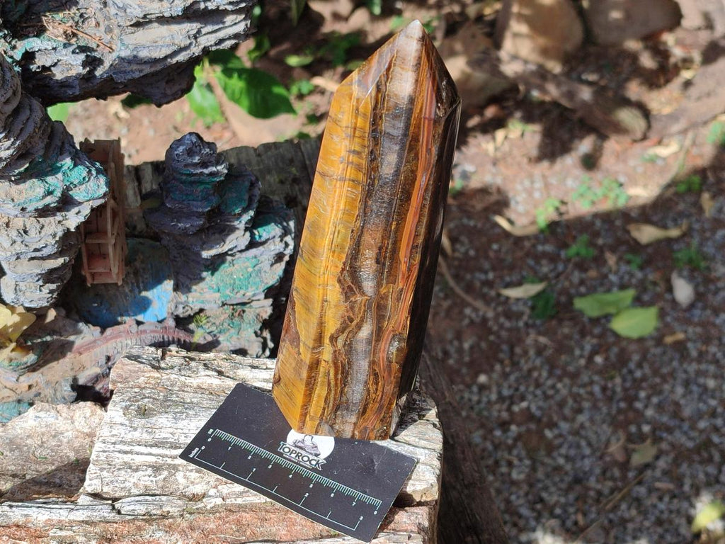 Polished Large Golden Tigers Eye Display Crystals x 2 From Prieska, South Africa - Toprock Gemstones and Minerals 
