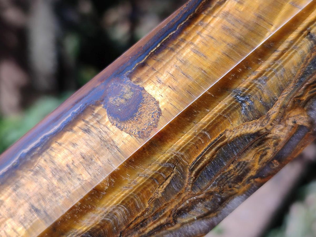 Polished Large Golden Tigers Eye Display Crystals x 2 From Prieska, South Africa - Toprock Gemstones and Minerals 