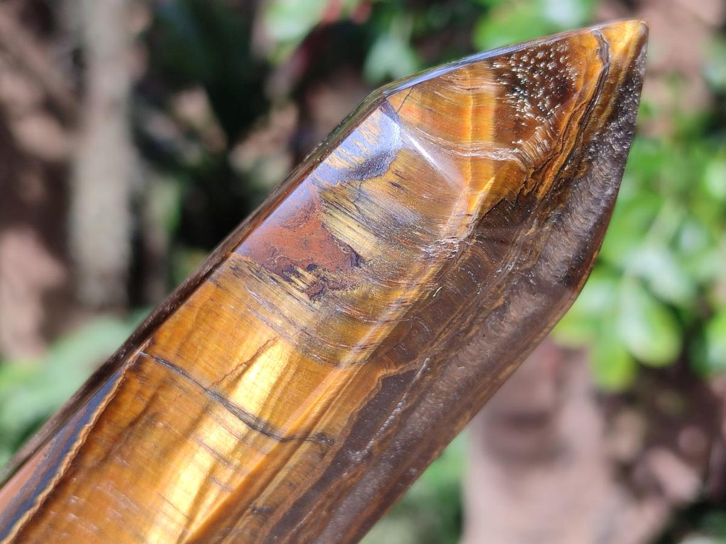 Polished Large Golden Tigers Eye Display Crystals x 2 From Prieska, South Africa - Toprock Gemstones and Minerals 