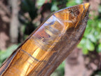Polished Large Golden Tigers Eye Display Crystals x 2 From Prieska, South Africa - Toprock Gemstones and Minerals 