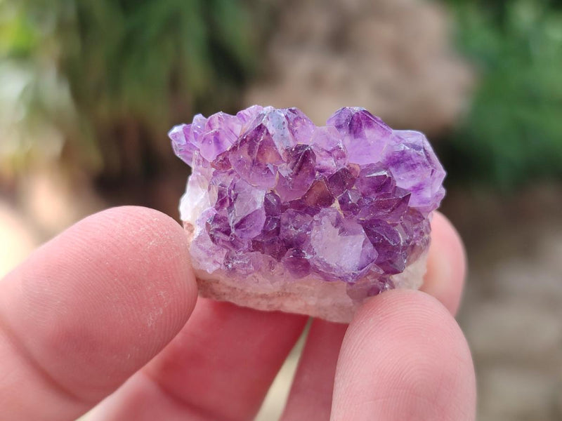 Natural Mix of Multi Mineral Specimens x 1,47 Kg Lot From Southern Africa - Toprock Gemstones and Minerals 