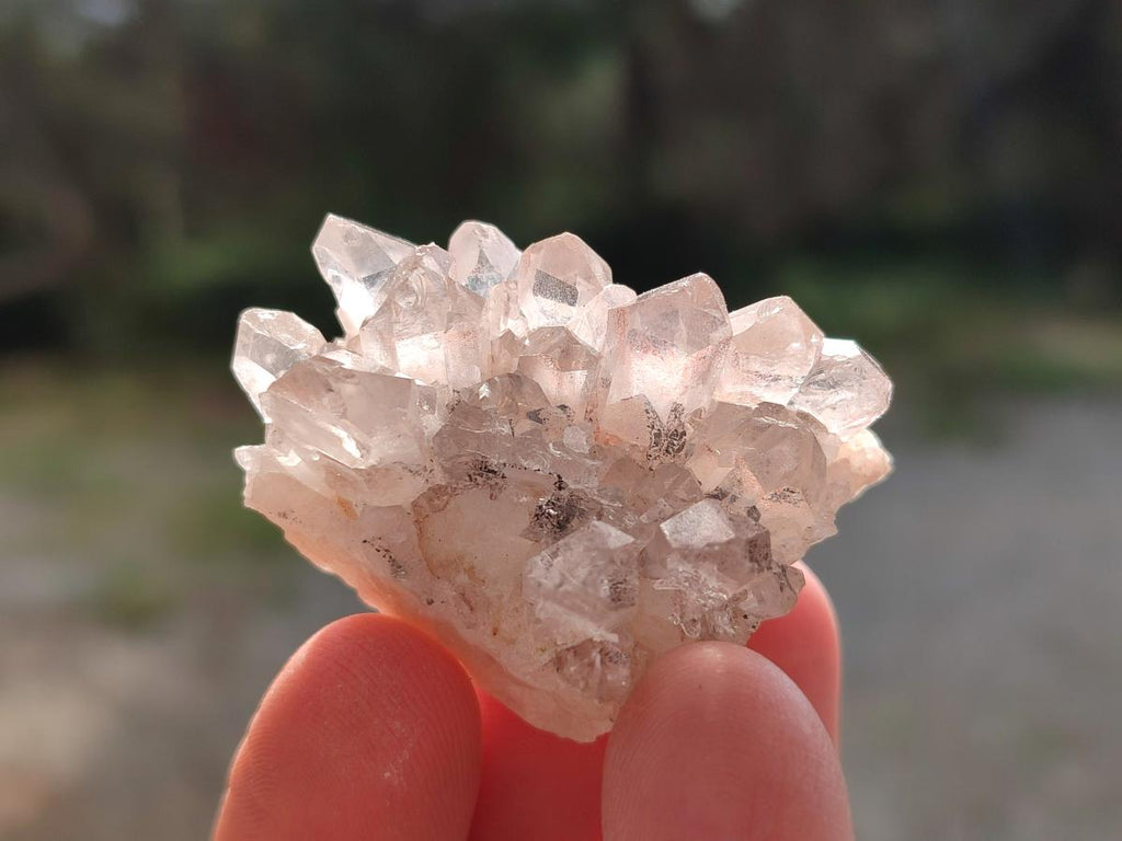 Natural Mix of Multi Mineral Specimens x 1,47 Kg Lot From Southern Africa - Toprock Gemstones and Minerals 