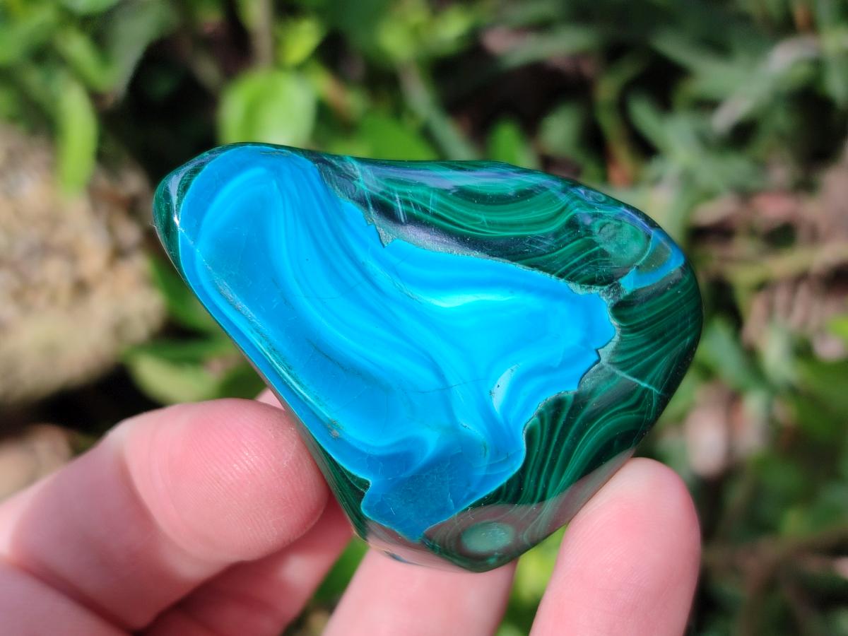 Polished Malacolla Free Forms x 12 From Kulukuluku, Congo - Toprock Gemstones and Minerals 