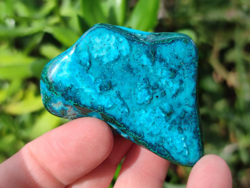 Polished Malacolla Free Forms x 12 From Kulukuluku, Congo - Toprock Gemstones and Minerals 