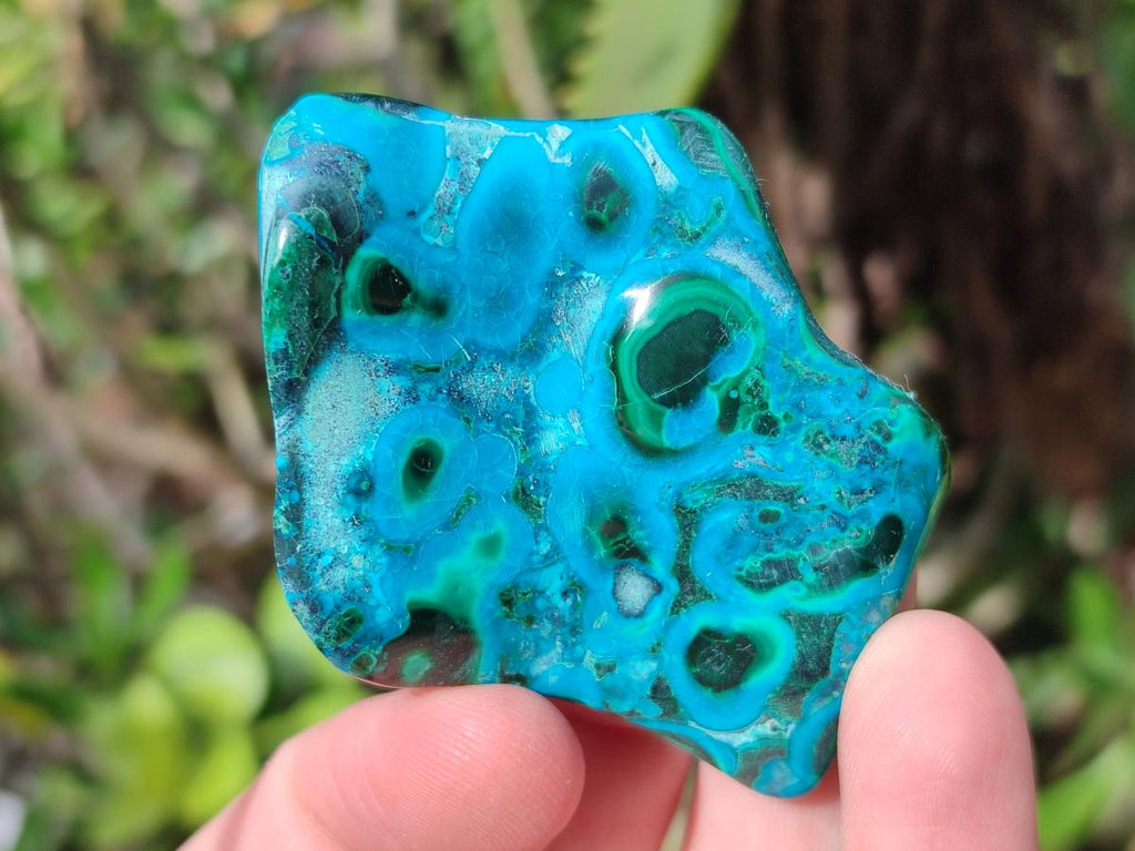 Polished Malacolla Free Forms x 12 From Kulukuluku, Congo - Toprock Gemstones and Minerals 