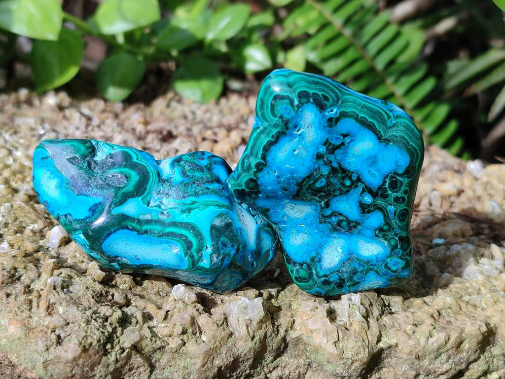 Polished Malacolla Free Forms x 12 From Kulukuluku, Congo - Toprock Gemstones and Minerals 