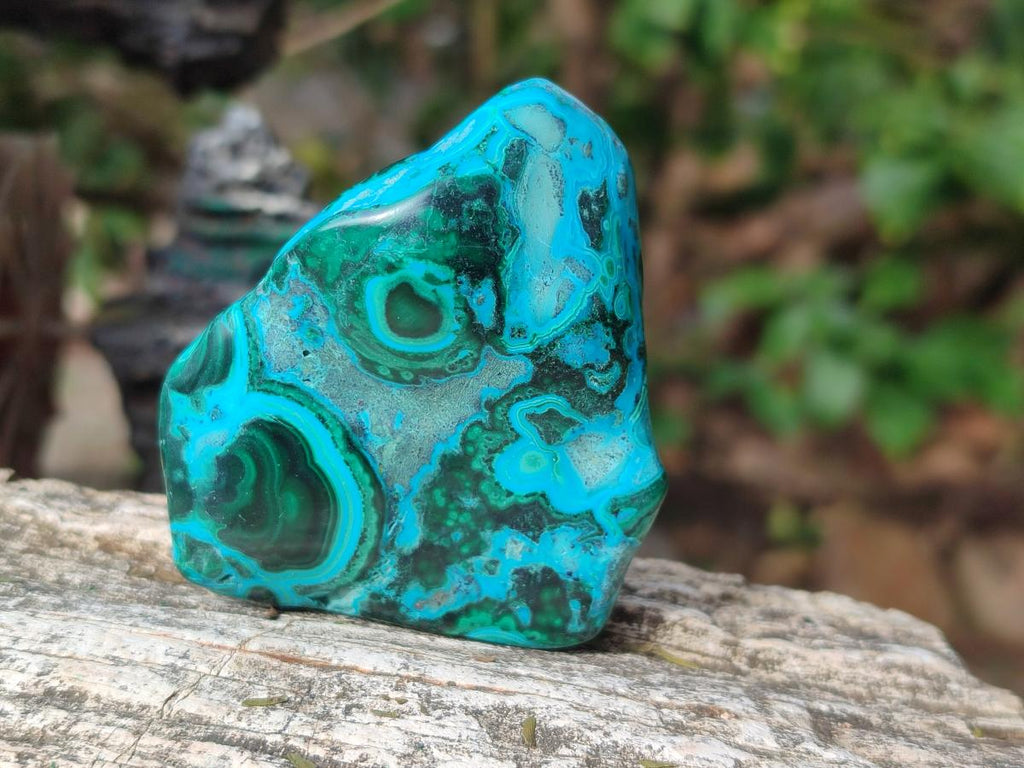 Polished Malacolla Free Forms x 12 From Kulukuluku, Congo - Toprock Gemstones and Minerals 