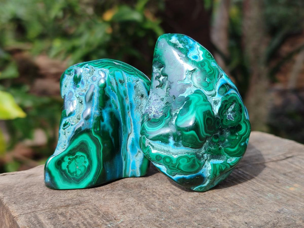 Polished Malacolla Free Forms x 12 From Kulukuluku, Congo - Toprock Gemstones and Minerals 