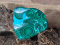 Polished Malacolla Free Forms x 12 From Kulukuluku, Congo - Toprock Gemstones and Minerals 