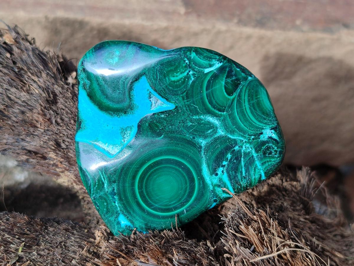 Polished Malacolla Free Forms x 12 From Kulukuluku, Congo - Toprock Gemstones and Minerals 