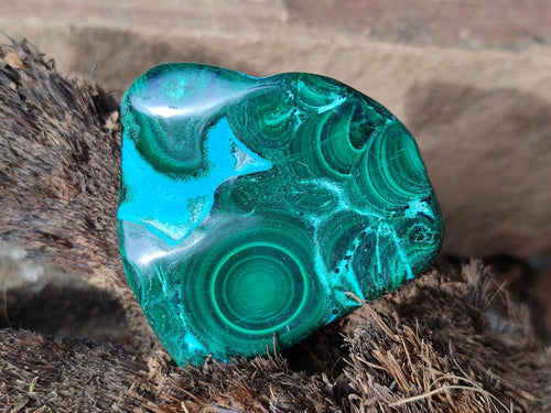 Polished Malacolla Free Forms x 12 From Kulukuluku, Congo - Toprock Gemstones and Minerals 