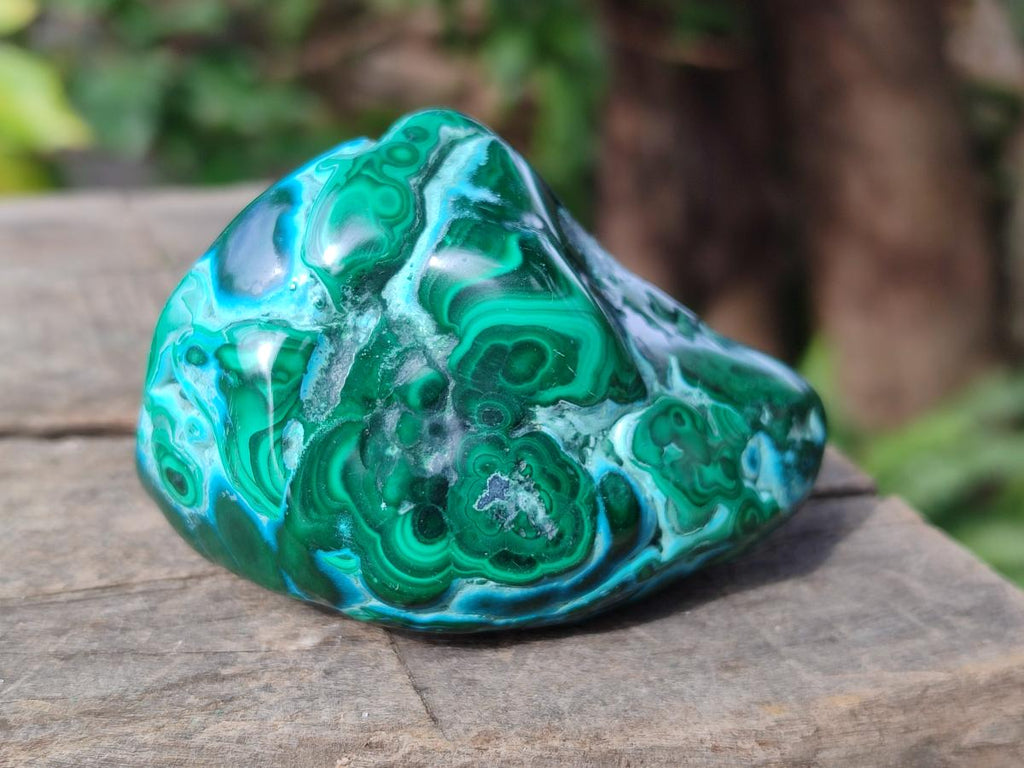 Polished Malacolla Free Forms x 12 From Kulukuluku, Congo - Toprock Gemstones and Minerals 
