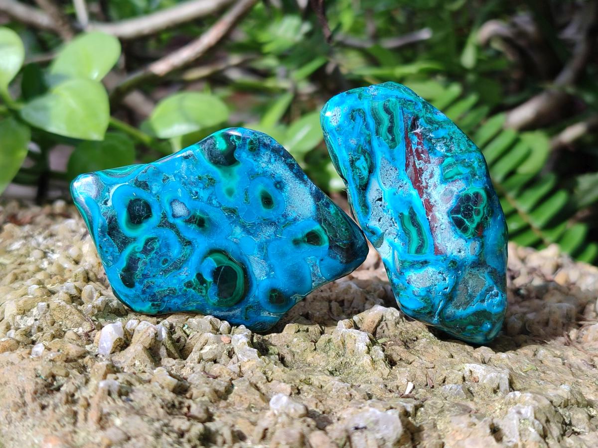 Polished Malacolla Free Forms x 12 From Kulukuluku, Congo - Toprock Gemstones and Minerals 