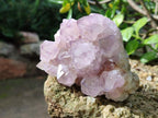 Natural Spirit Amethyst Clusters x 4 From Boekenhouthoek, South Africa - Toprock Gemstones and Minerals 