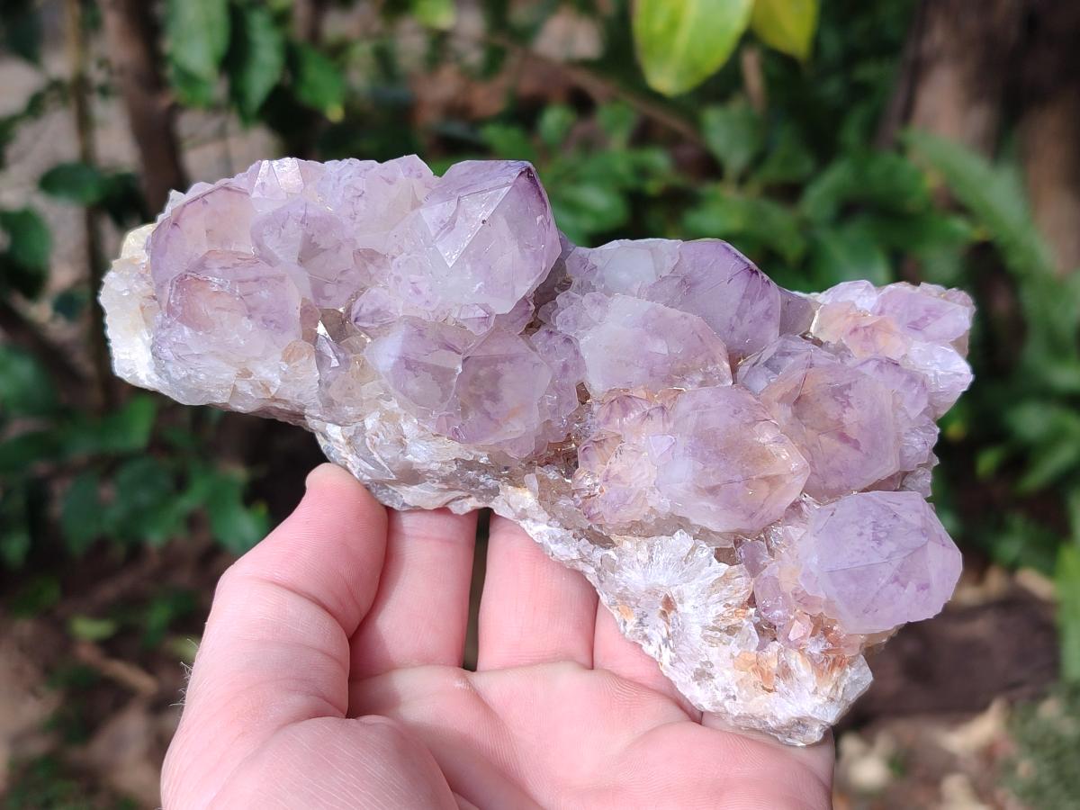Natural Spirit Amethyst Clusters x 4 From Boekenhouthoek, South Africa - Toprock Gemstones and Minerals 