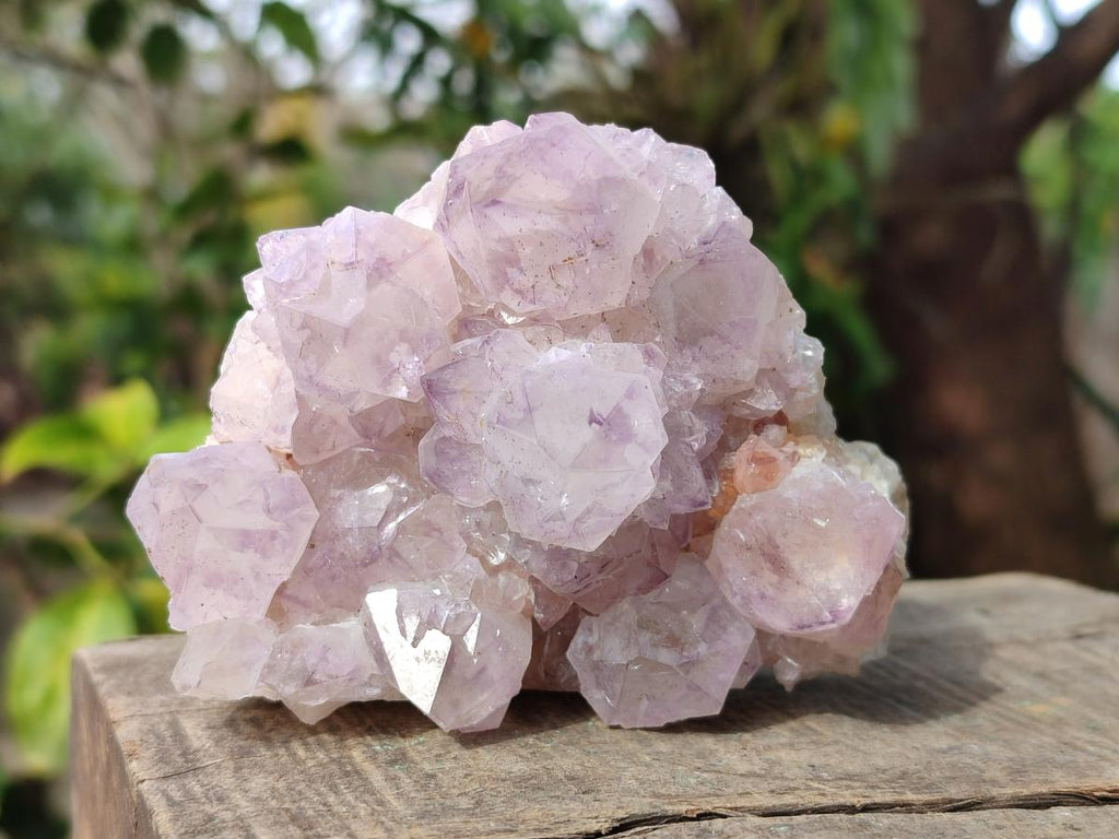 Natural Spirit Amethyst Clusters x 4 From Boekenhouthoek, South Africa - Toprock Gemstones and Minerals 