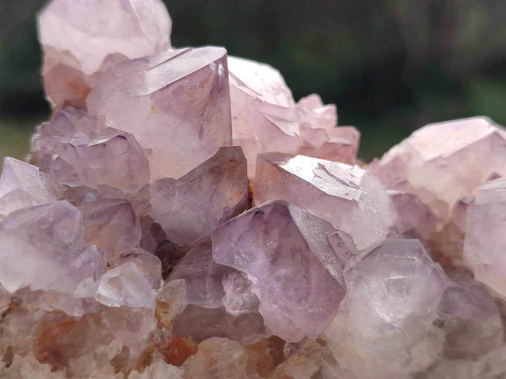 Natural Spirit Amethyst Clusters x 4 From Boekenhouthoek, South Africa - Toprock Gemstones and Minerals 