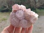 Natural Spirit Amethyst Clusters x 4 From Boekenhouthoek, South Africa - Toprock Gemstones and Minerals 