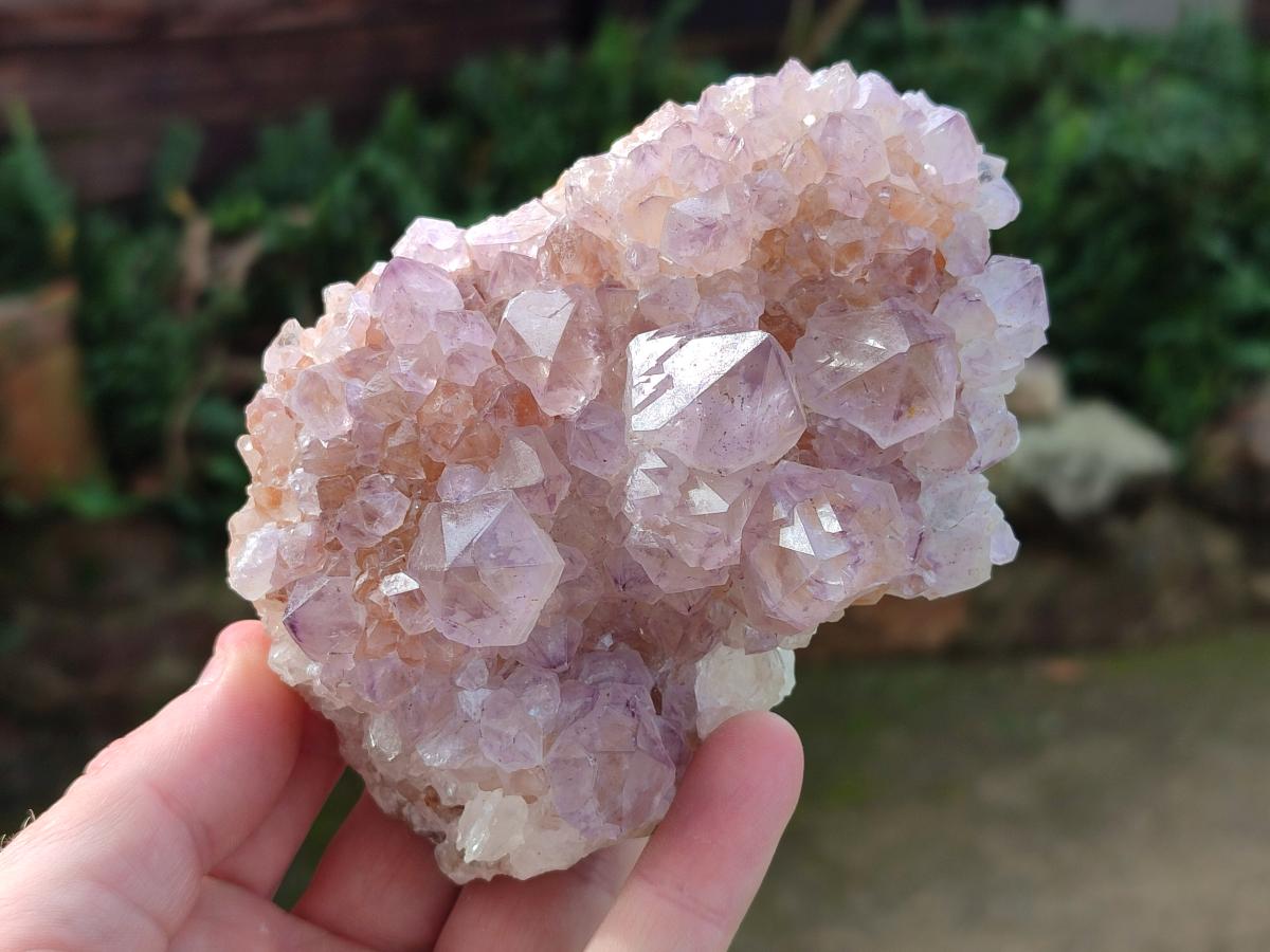 Natural Spirit Amethyst Clusters x 4 From Boekenhouthoek, South Africa - Toprock Gemstones and Minerals 