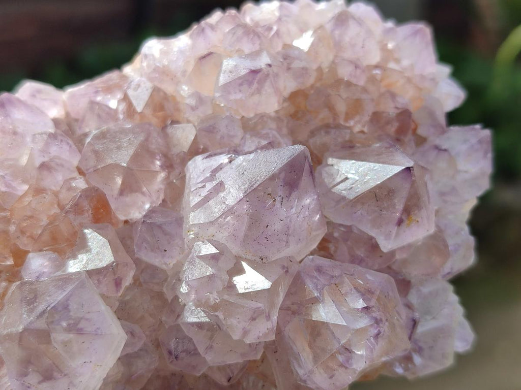 Natural Spirit Amethyst Clusters x 4 From Boekenhouthoek, South Africa - Toprock Gemstones and Minerals 