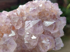 Natural Spirit Amethyst Clusters x 4 From Boekenhouthoek, South Africa - Toprock Gemstones and Minerals 