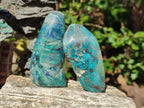 Polished One Side Shattuckite Free Forms x 12 From Kaokoveld, Namibia - Toprock Gemstones and Minerals 