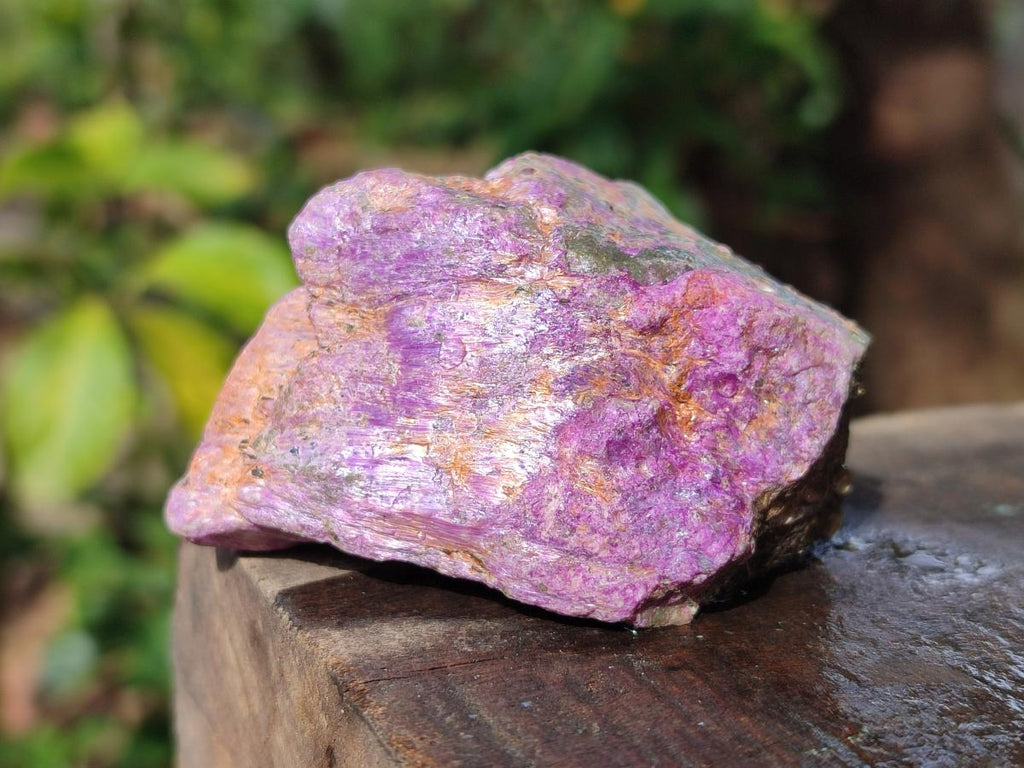 Natural Cobbed Stichtite Specimens x 24 From Barberton, South Africa