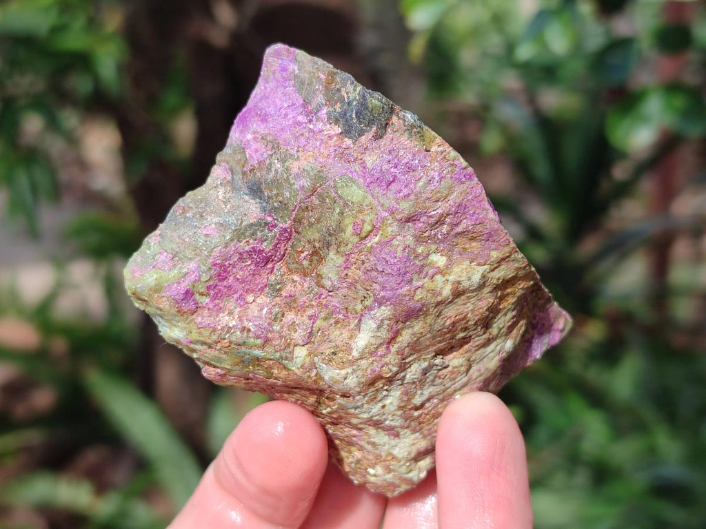 Natural Cobbed Stichtite Specimens x 24 From Barberton, South Africa