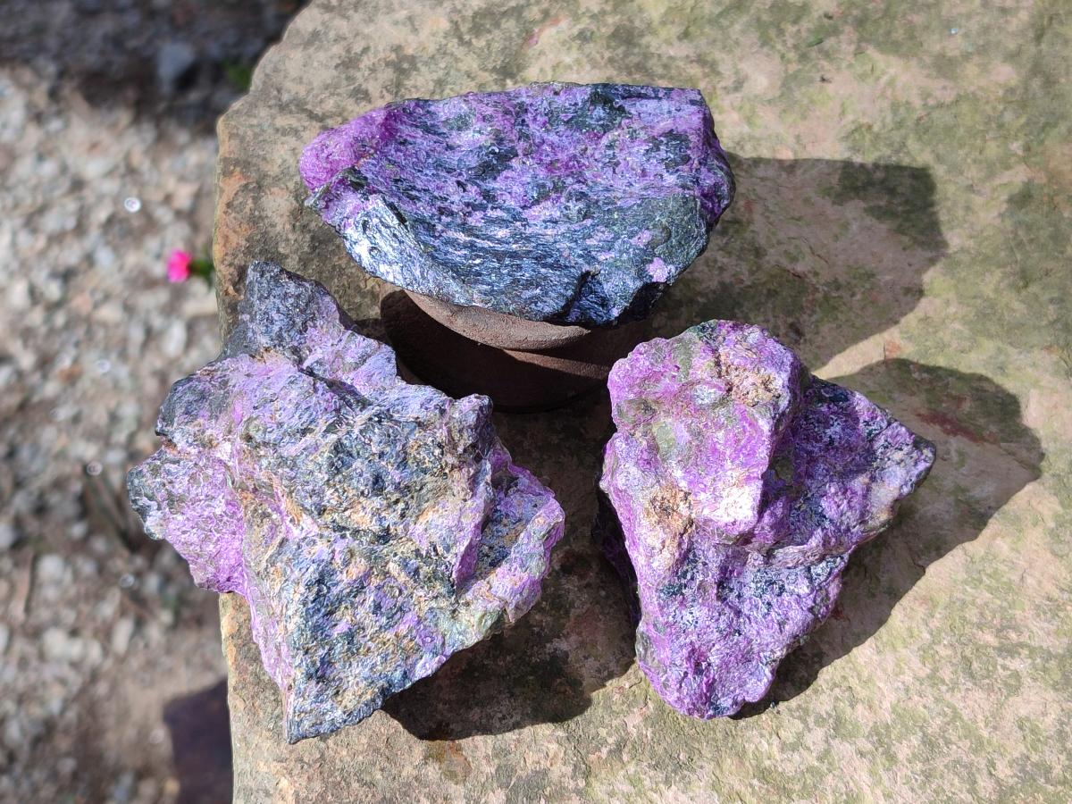 Natural Cobbed Stichtite Specimens x 24 From Barberton, South Africa
