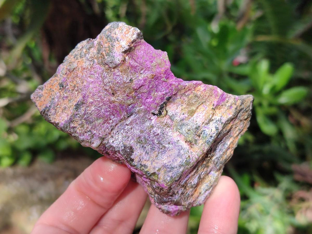 Natural Cobbed Stichtite Specimens x 24 From Barberton, South Africa