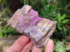 Natural Cobbed Stichtite Specimens x 24 From Barberton, South Africa