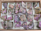 Natural Cobbed Stichtite Specimens x 24 From Barberton, South Africa