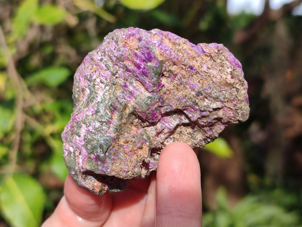 Natural Cobbed Stichtite Specimens x 24 From Barberton, South Africa