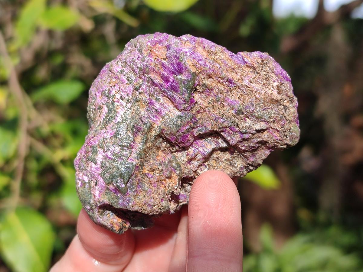 Natural Cobbed Stichtite Specimens x 24 From Barberton, South Africa