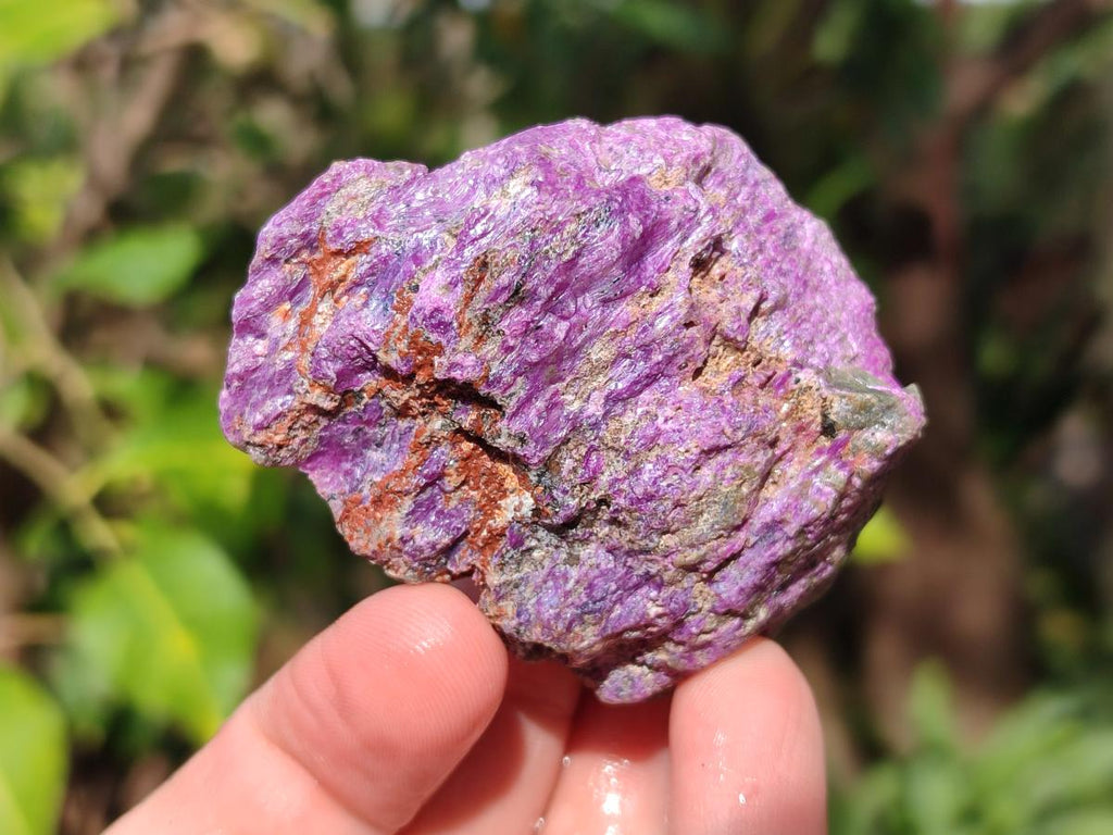 Natural Cobbed Stichtite Specimens x 24 From Barberton, South Africa