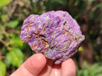 Natural Cobbed Stichtite Specimens x 24 From Barberton, South Africa